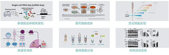 JX-CKSW系列產(chǎn)品應(yīng)用-700 JX-CKSW系列產(chǎn)品應(yīng)用-700